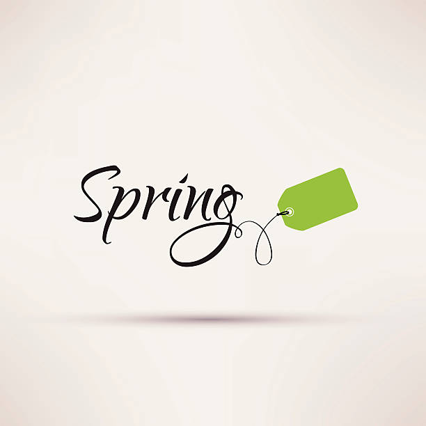 black friday amazon angebote